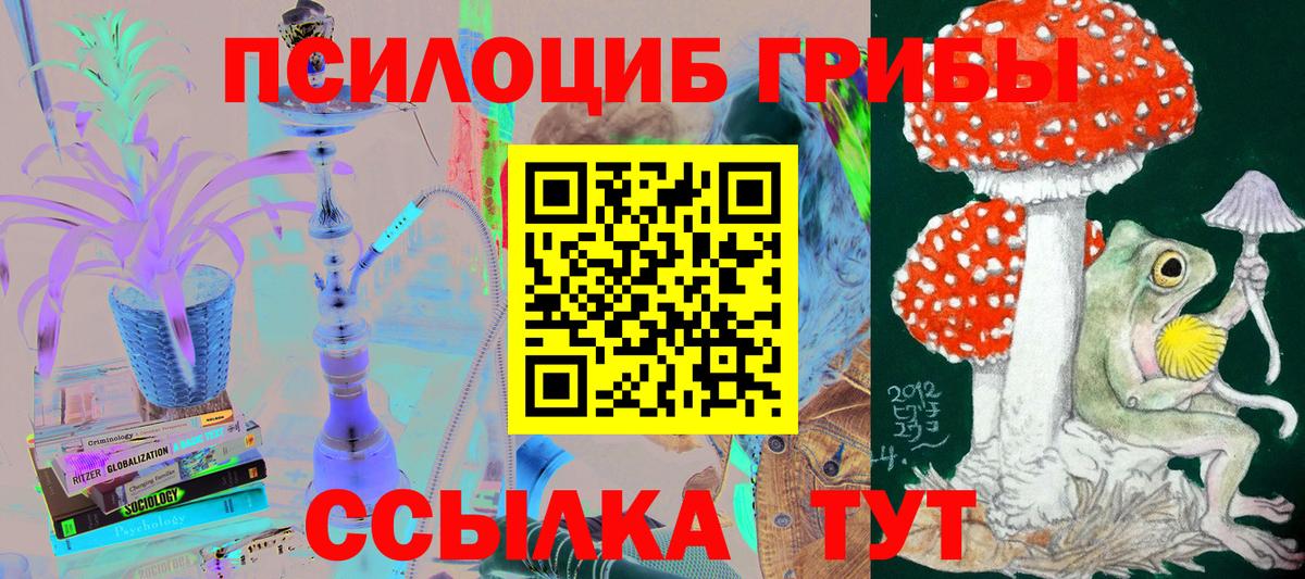 Протвино  Галлюциногенные грибы Psilocybe  Вход с VPN  Псилоцибиновые грибы Psilocybine cubensis 